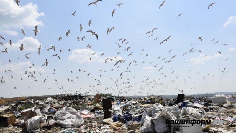 Прокуратура Башкирии дала мусорным регоператорам время на исправление нарушений