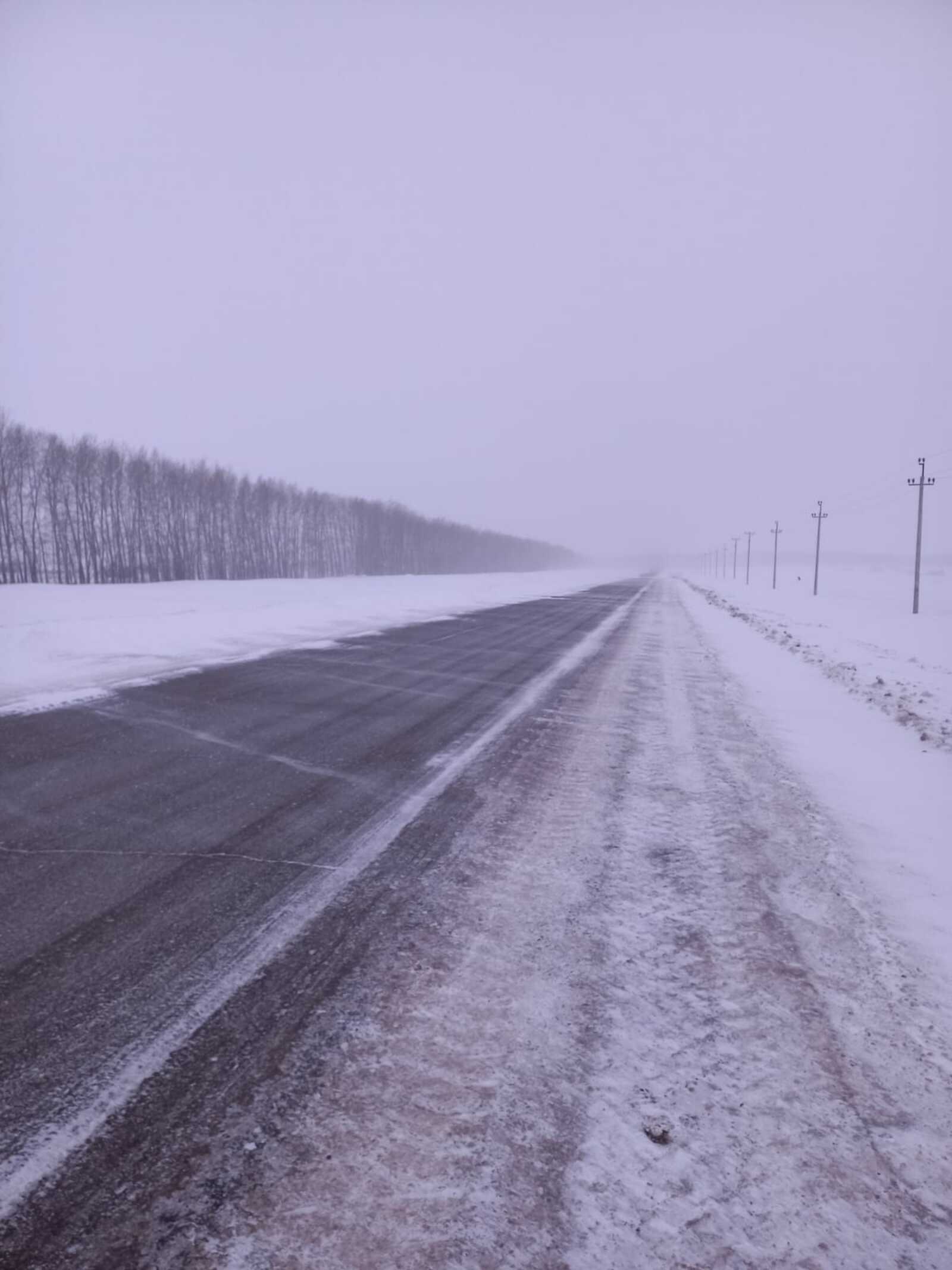 Мокрый снег, ветер и гололед: синоптики рассказали о погоде в Башкирии на ближайшие дни