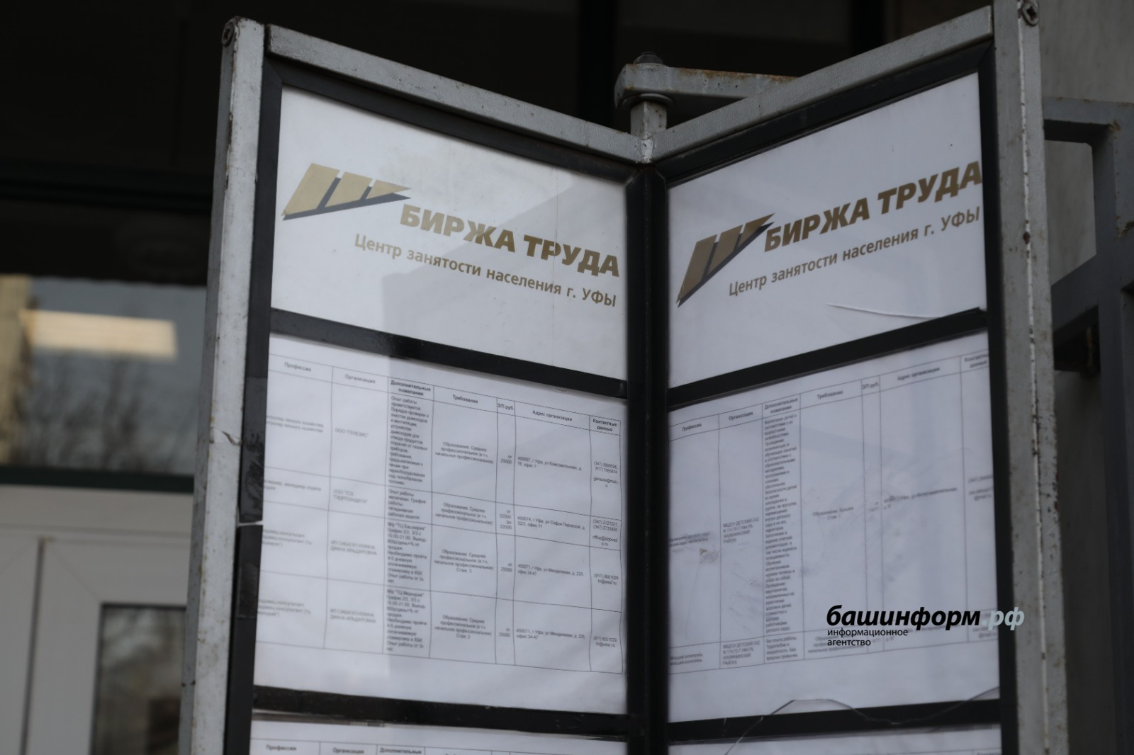 В Башкирии названы самые востребованные вакансии