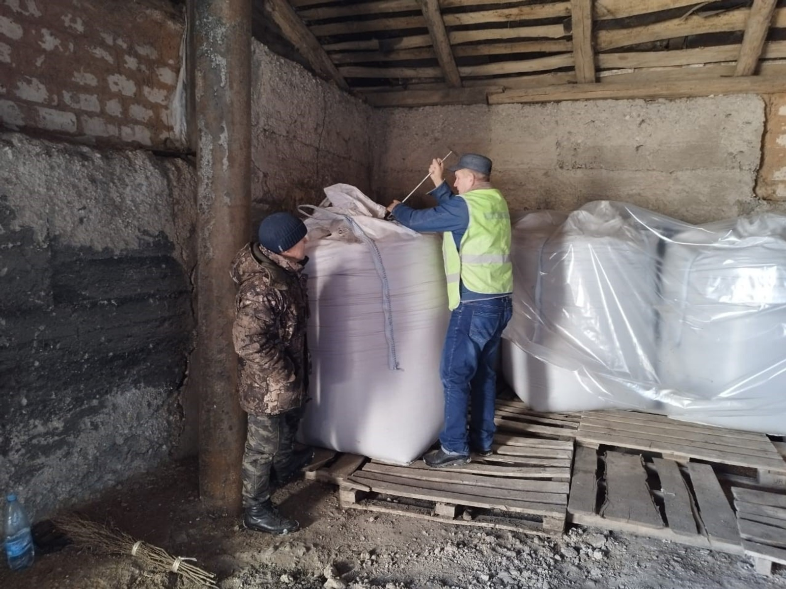 Редька из Башкирии отправилась в Беларусь