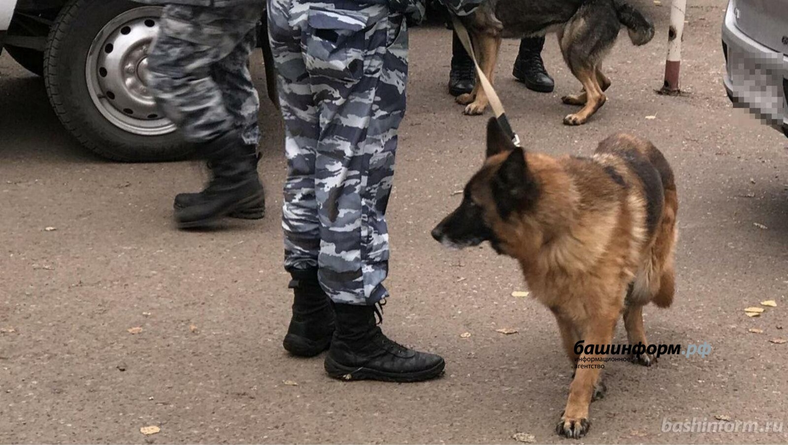 В Мордовии найден скелет пропавшей женщины