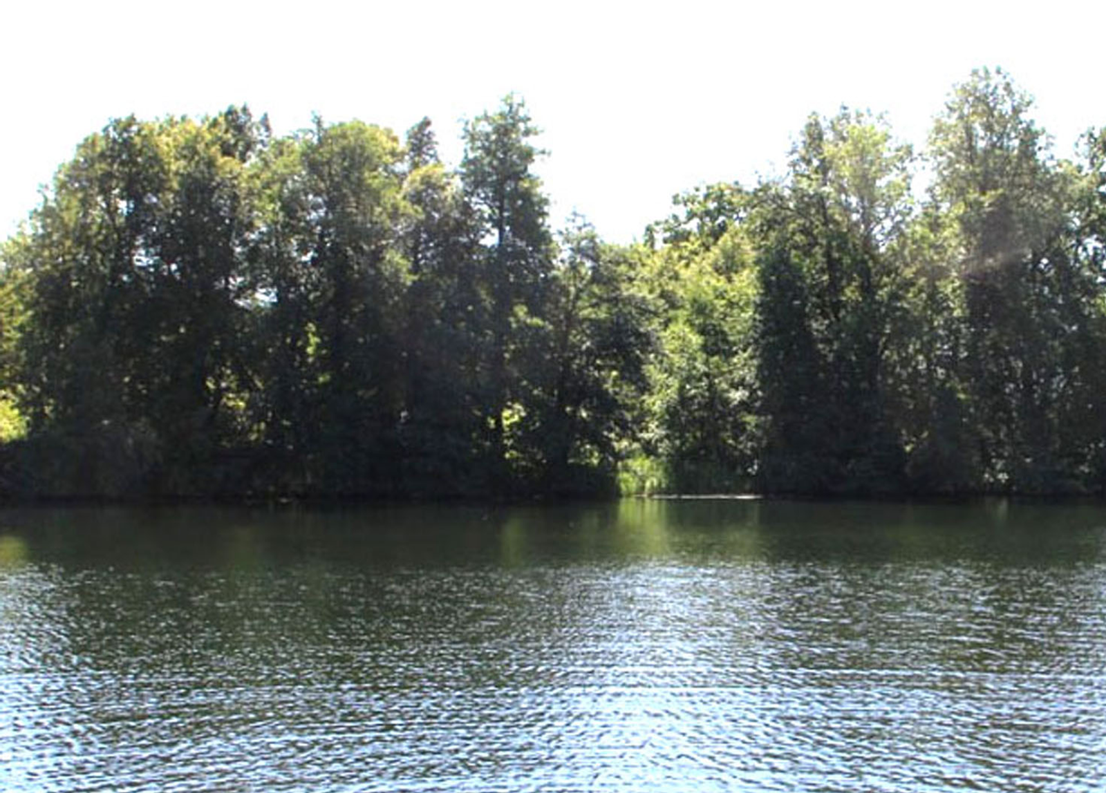 В Башкирии за сутки потерялись четыре человека