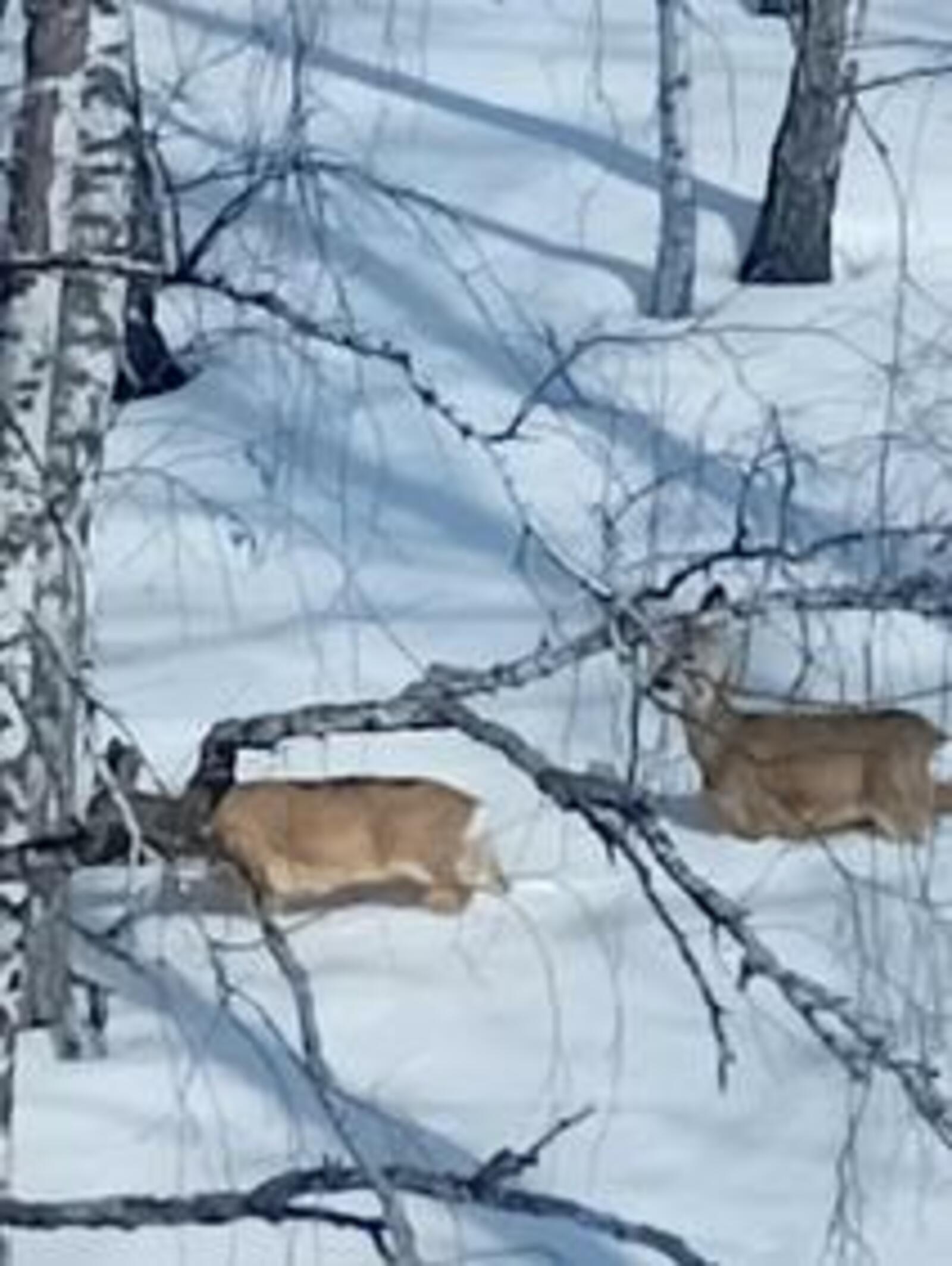 В Башкортостане завершили зимний маршрутный учет охотничьих ресурсов