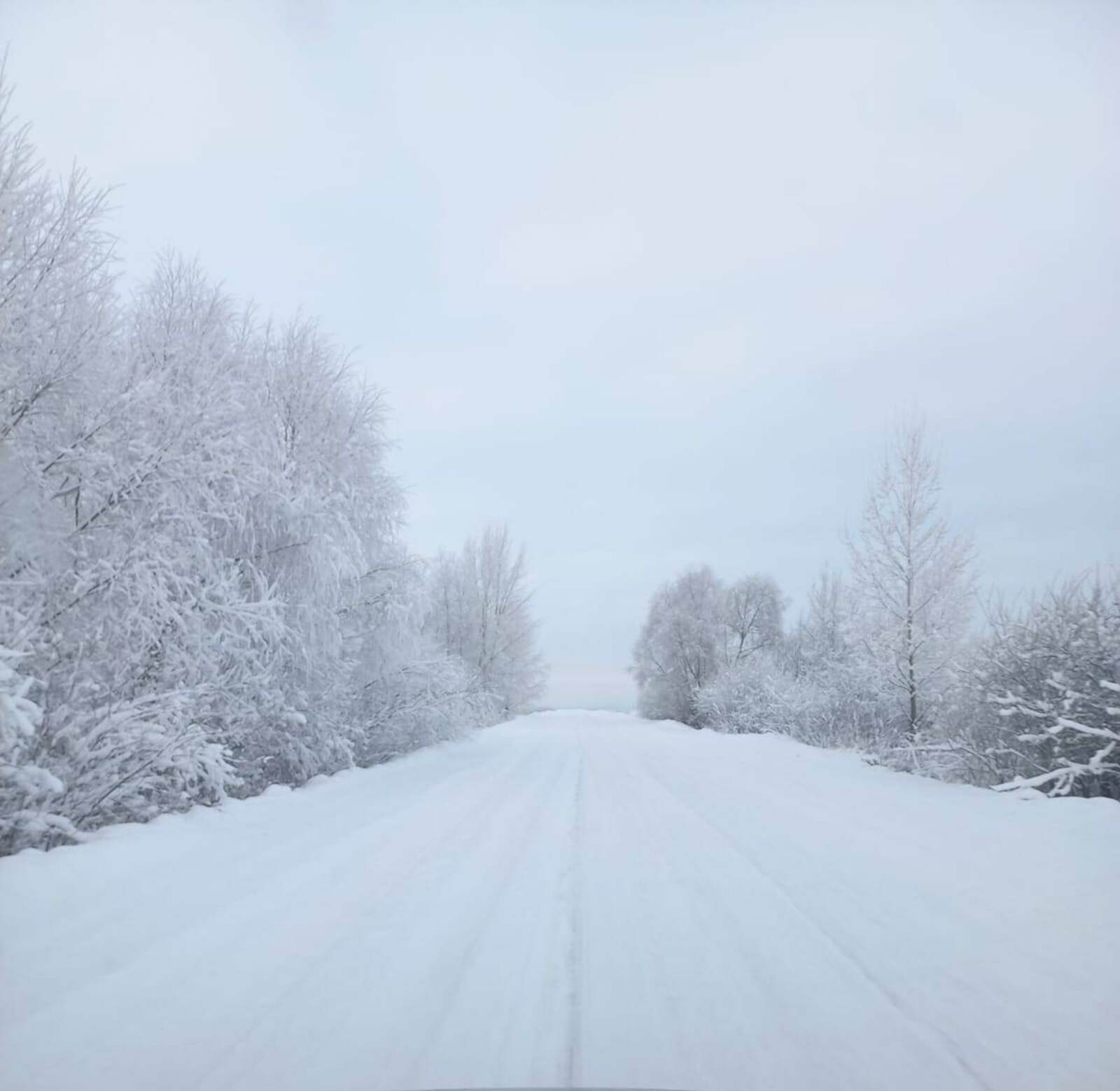Погода в Башкирии: обильные снегопады или морозы?