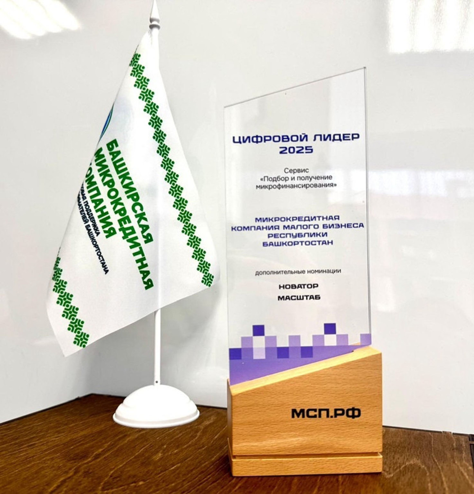 Башкирия вошла в число лидеров по цифровой микрофинансовой поддержке
