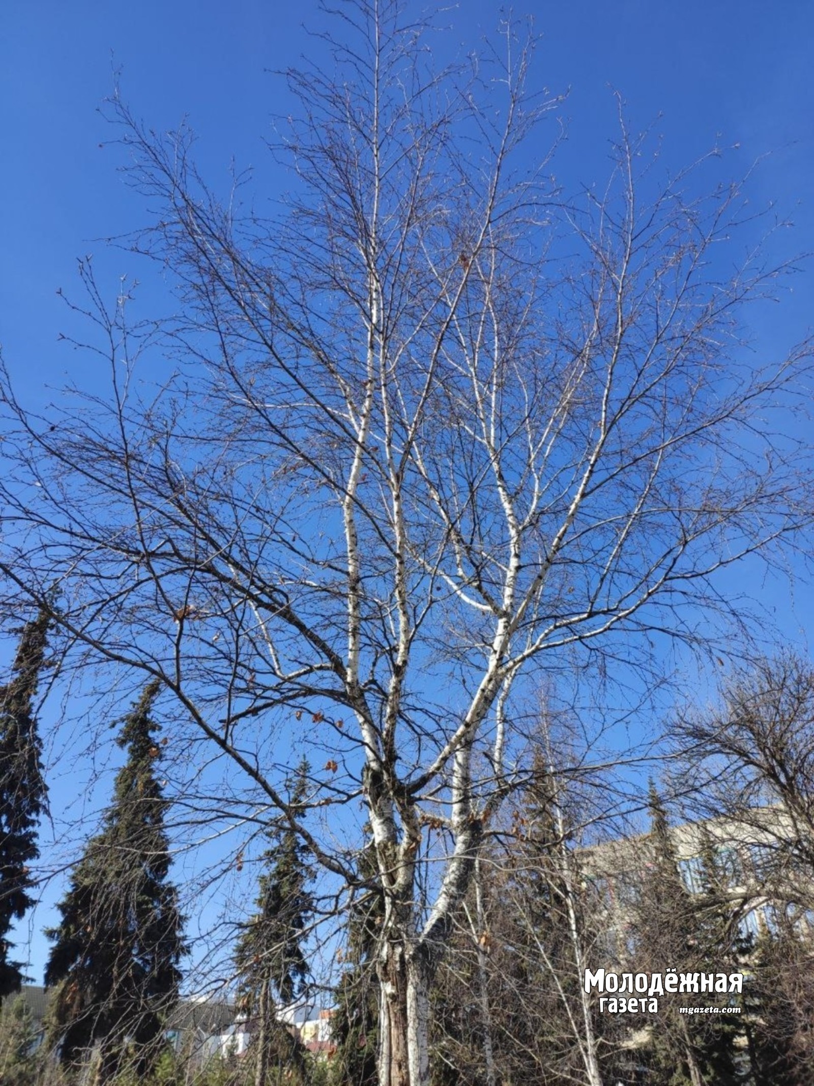 Девять ветеранов СВО из Башкирии поборются за победу в чемпионате «Абилимпикс»