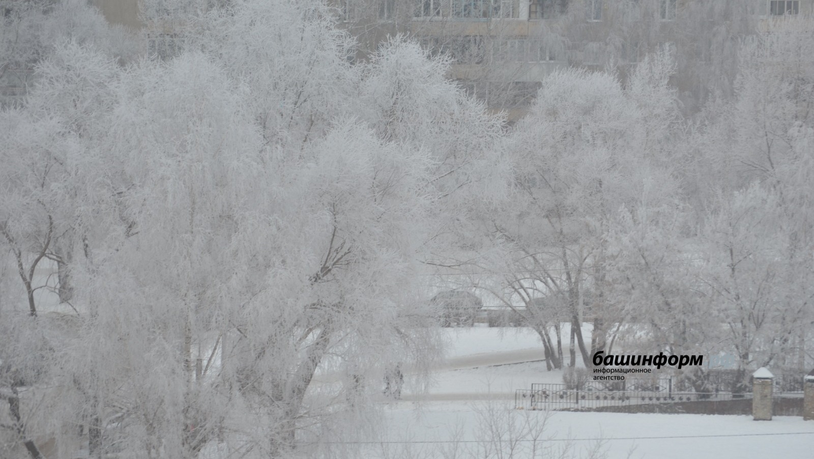 МЧС по Башкирии предупреждает: снег будет идти такой, что будет мало что видно