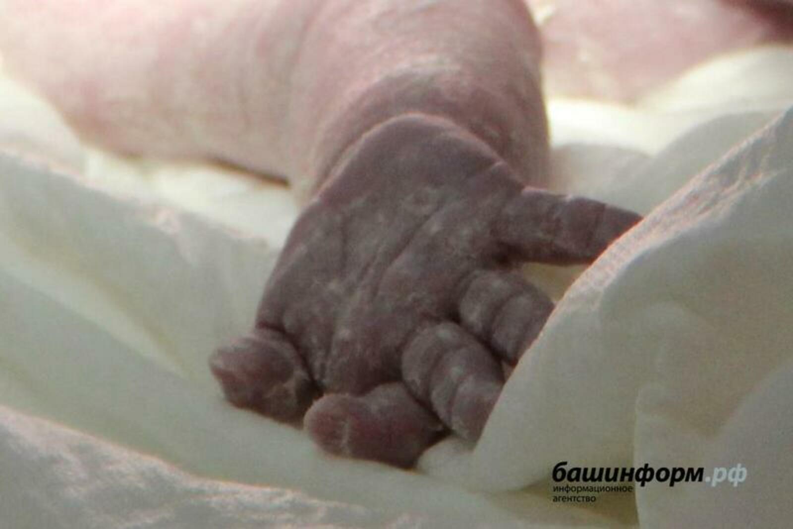 В Башкирии в мусороперерабатывающем комплексе нашли тело младенца