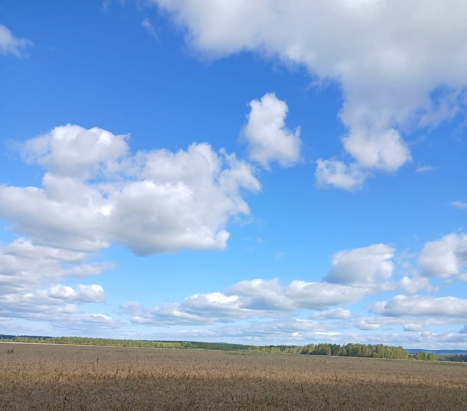 В небе над Башкирией наблюдайте за приближающейся кометой