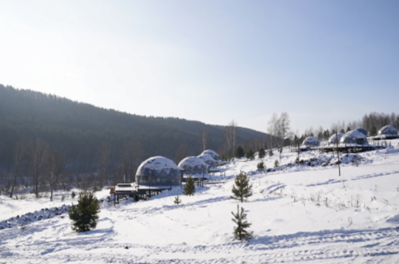 В 2026 году на территории Салаватского района планируют открыть глэмпинг-парк