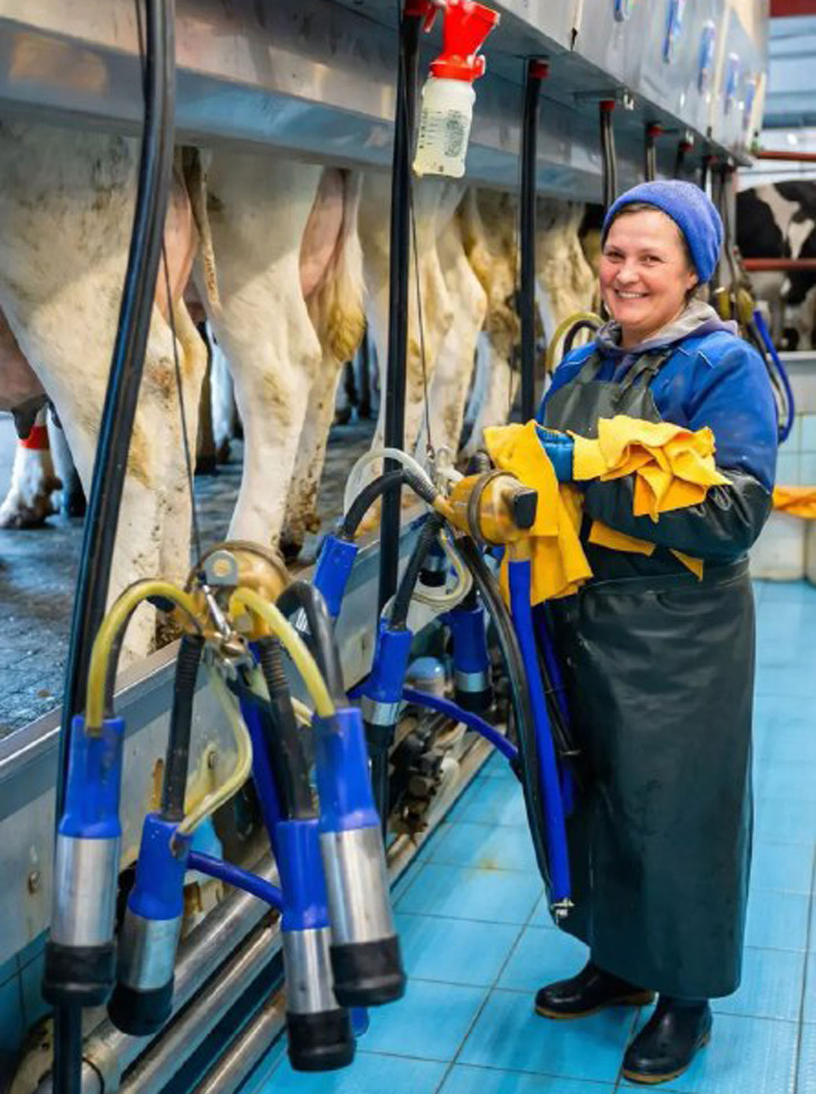 Племзавод из Башкирии стал участником федерального проекта