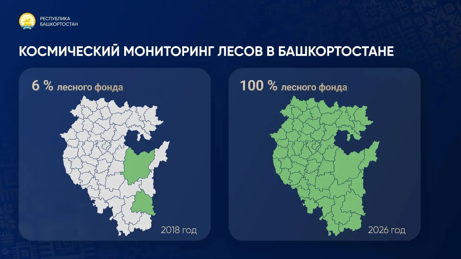 В Башкирии под космическим мониторингом находится 100% леса