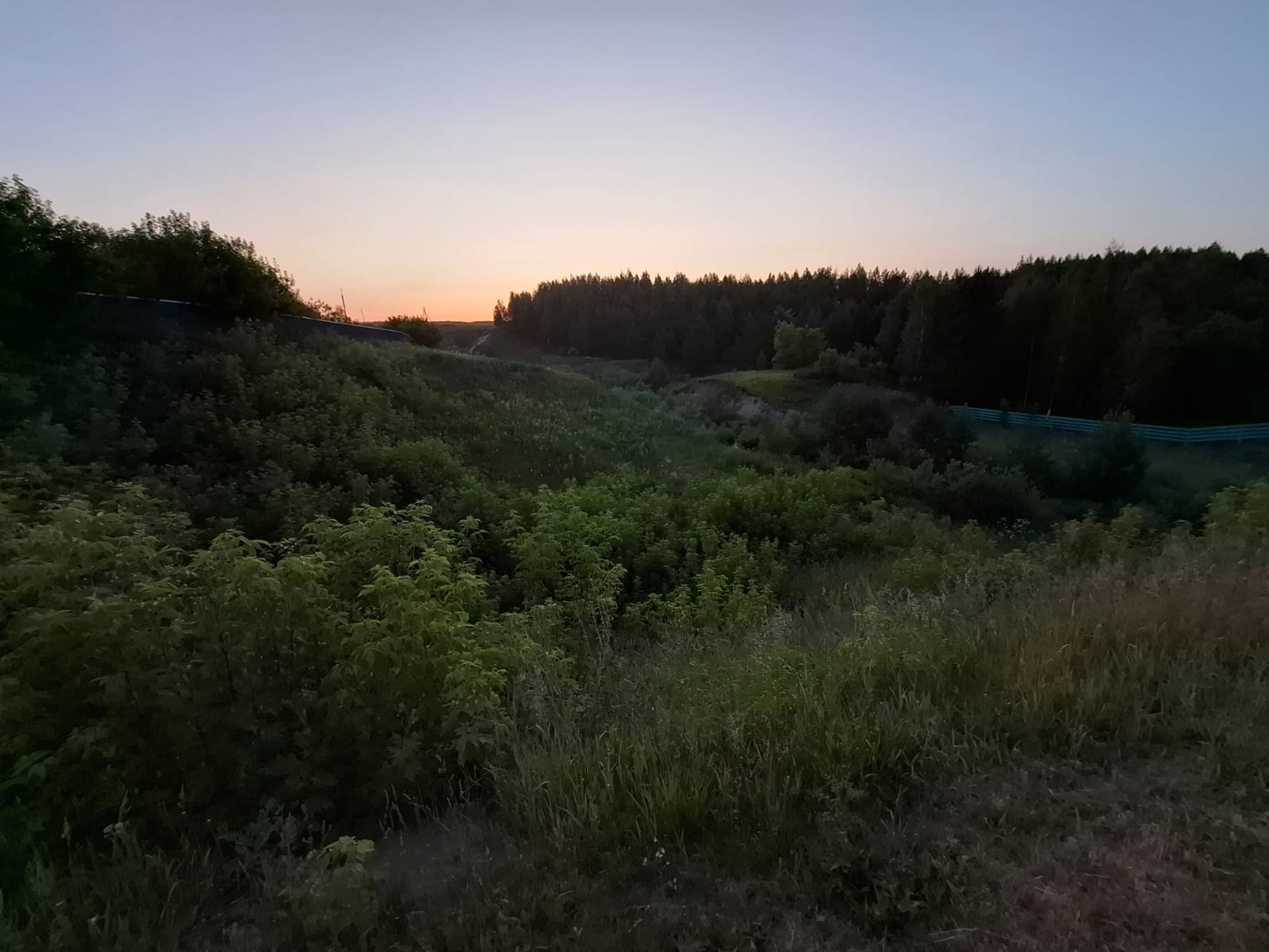 Дайджест постов с 9 по 15 июня – о пчелах, жаре, детском пособии и другом