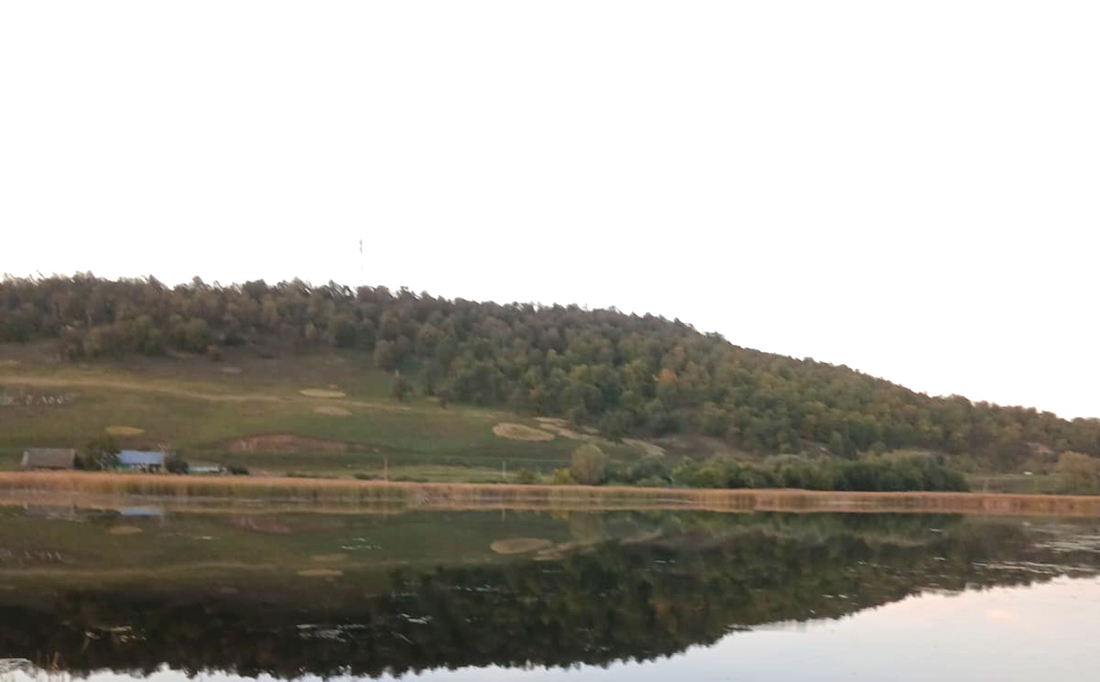 В лесах Башкирии за сутки потерялись четыре человека