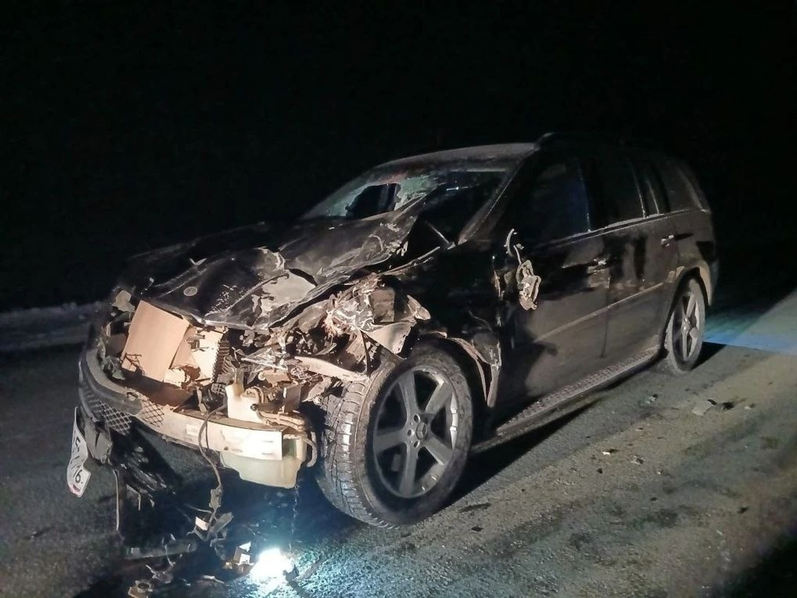 Иномарка наехала на табун лошадей