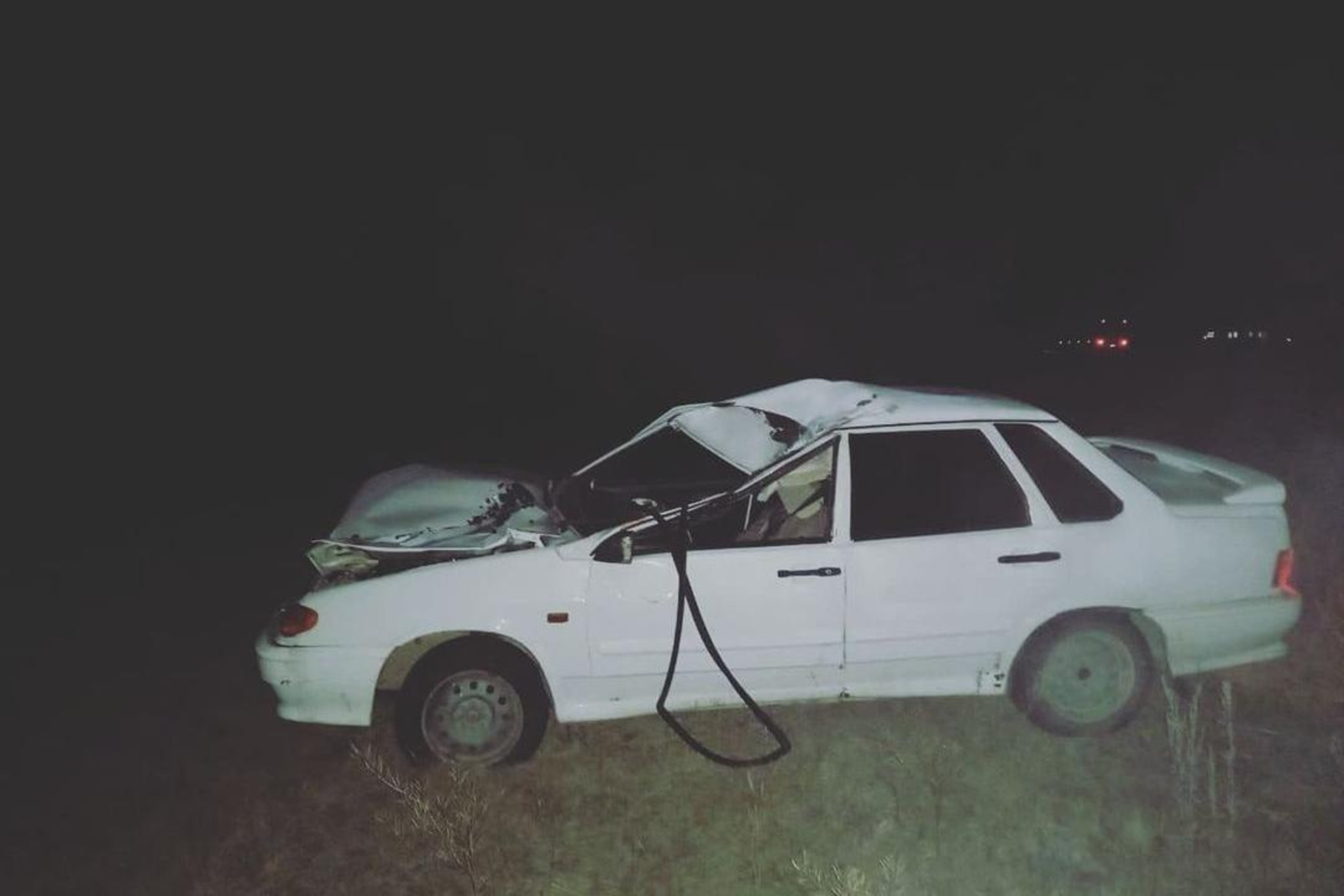 В Учалинском районе водитель автомобиля погиб при столкновении с лошадью