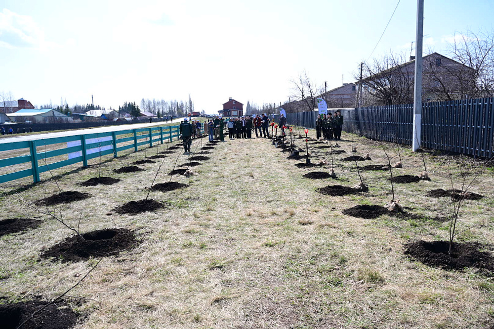 В патриотическом парке села Кармаскалы заложили аллею из 500 деревьев