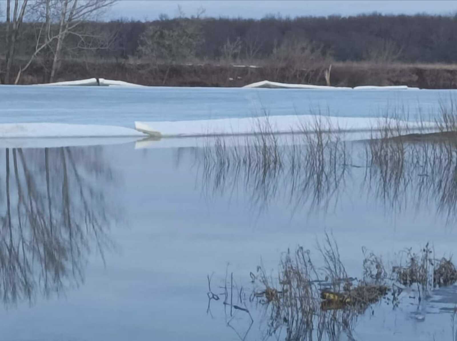 Влияние весеннего оттаивания низин на экологию будет минимальным