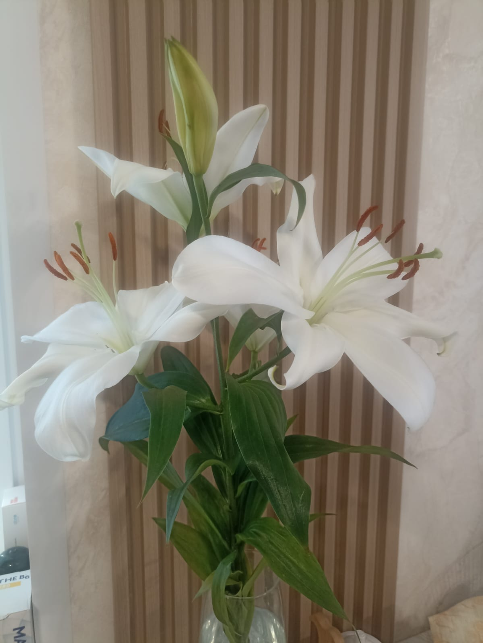 Аулаҡтағы бер төн