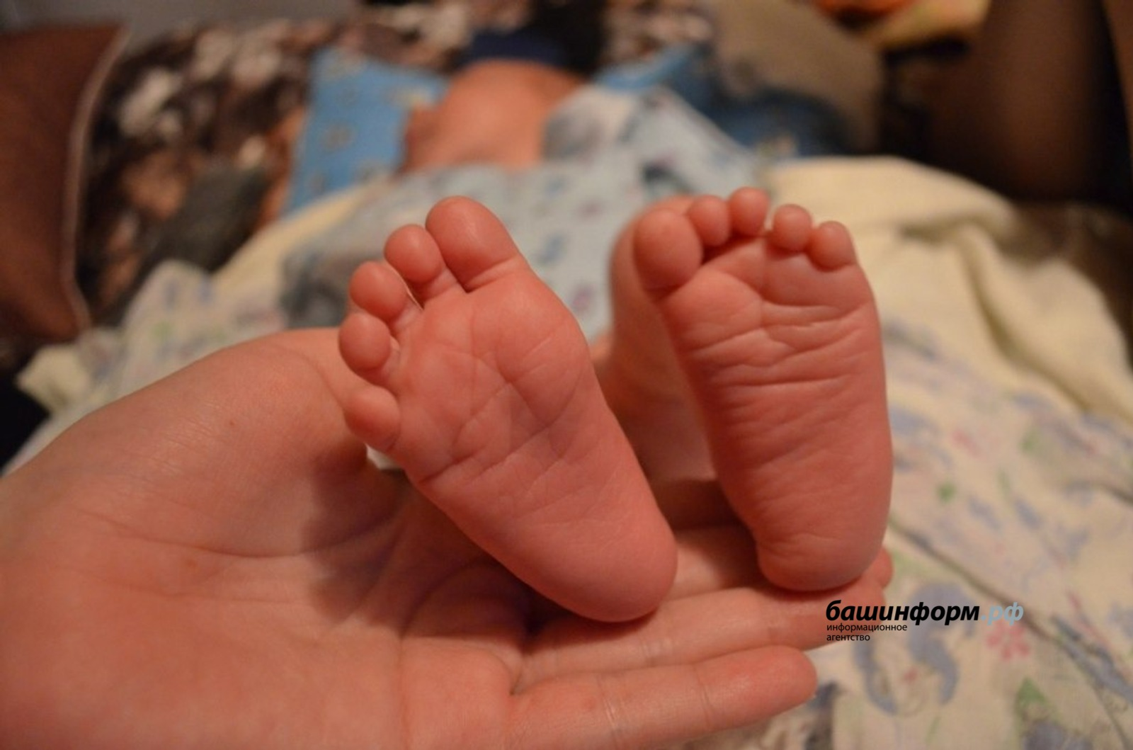 В Башкирии на свет появились Арес и Ансара