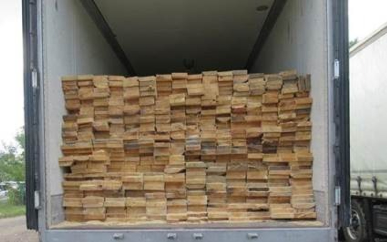 Житель Башкирии организовал канал контрабанды лесоматериалов в Казахстан