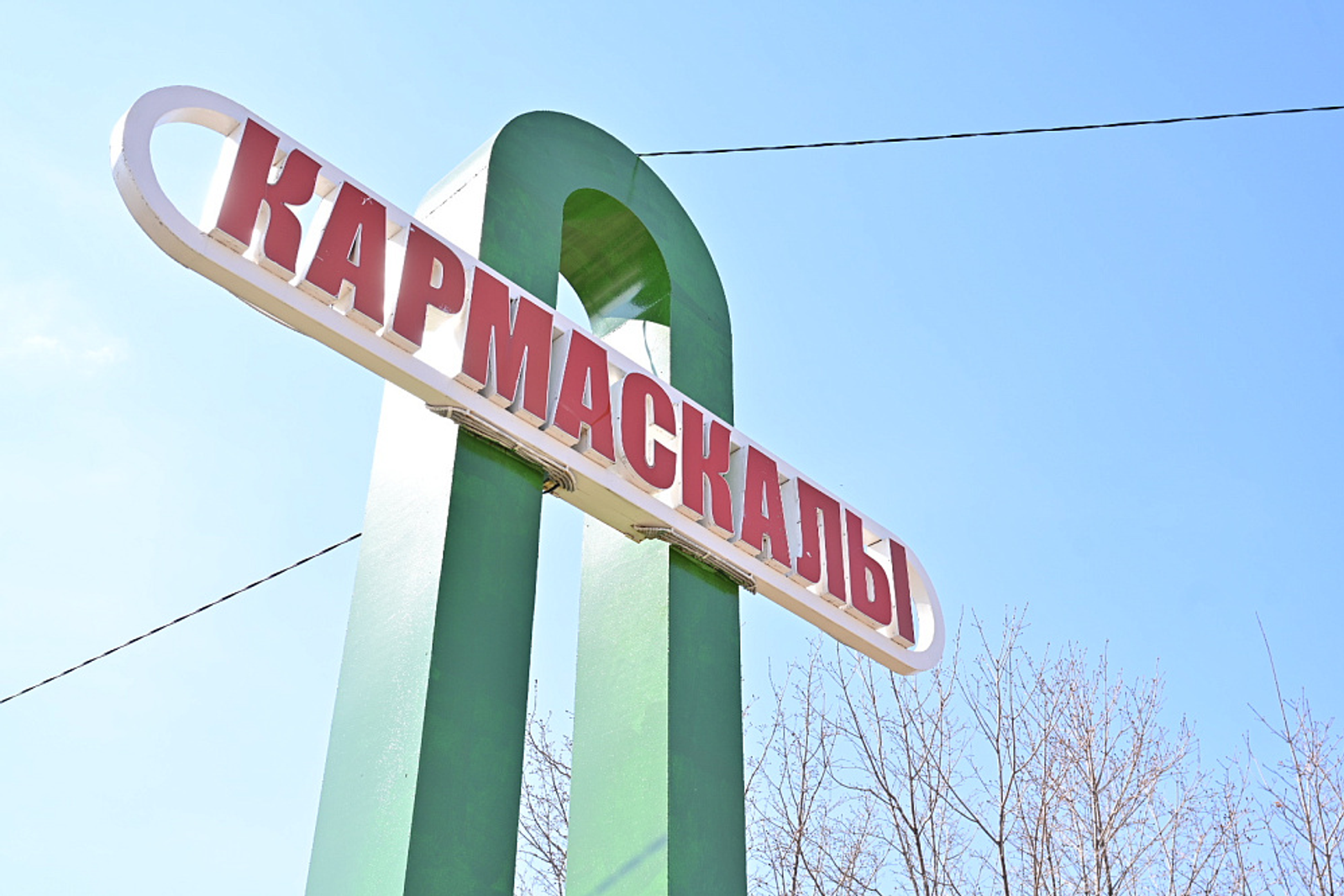 В патриотическом парке села Кармаскалы заложили аллею из 500 деревьев