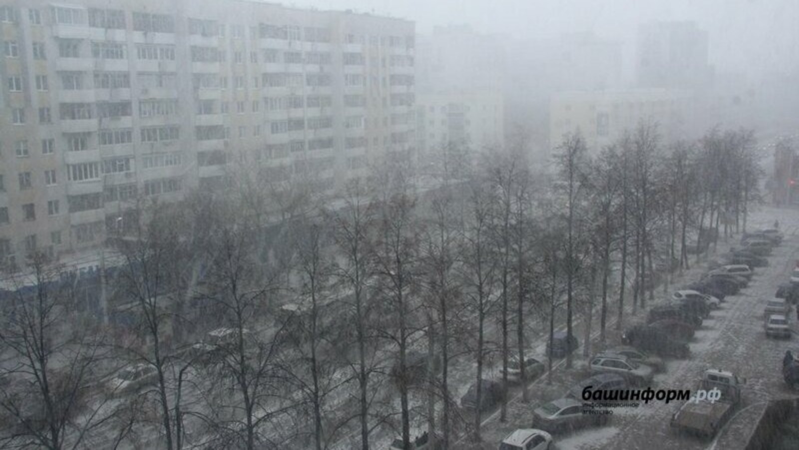В Башкирии объявили штормовое предупреждение из-за сильного ветра и гололеда