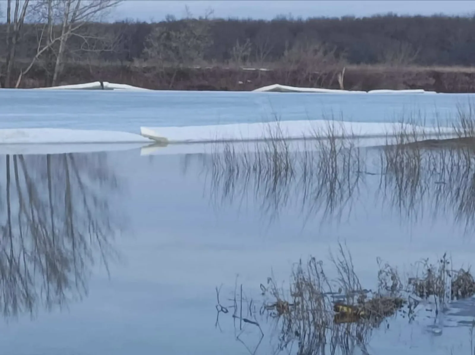 Жителям  Башкирии в прямом эфире расскажут о ситуации с паводком