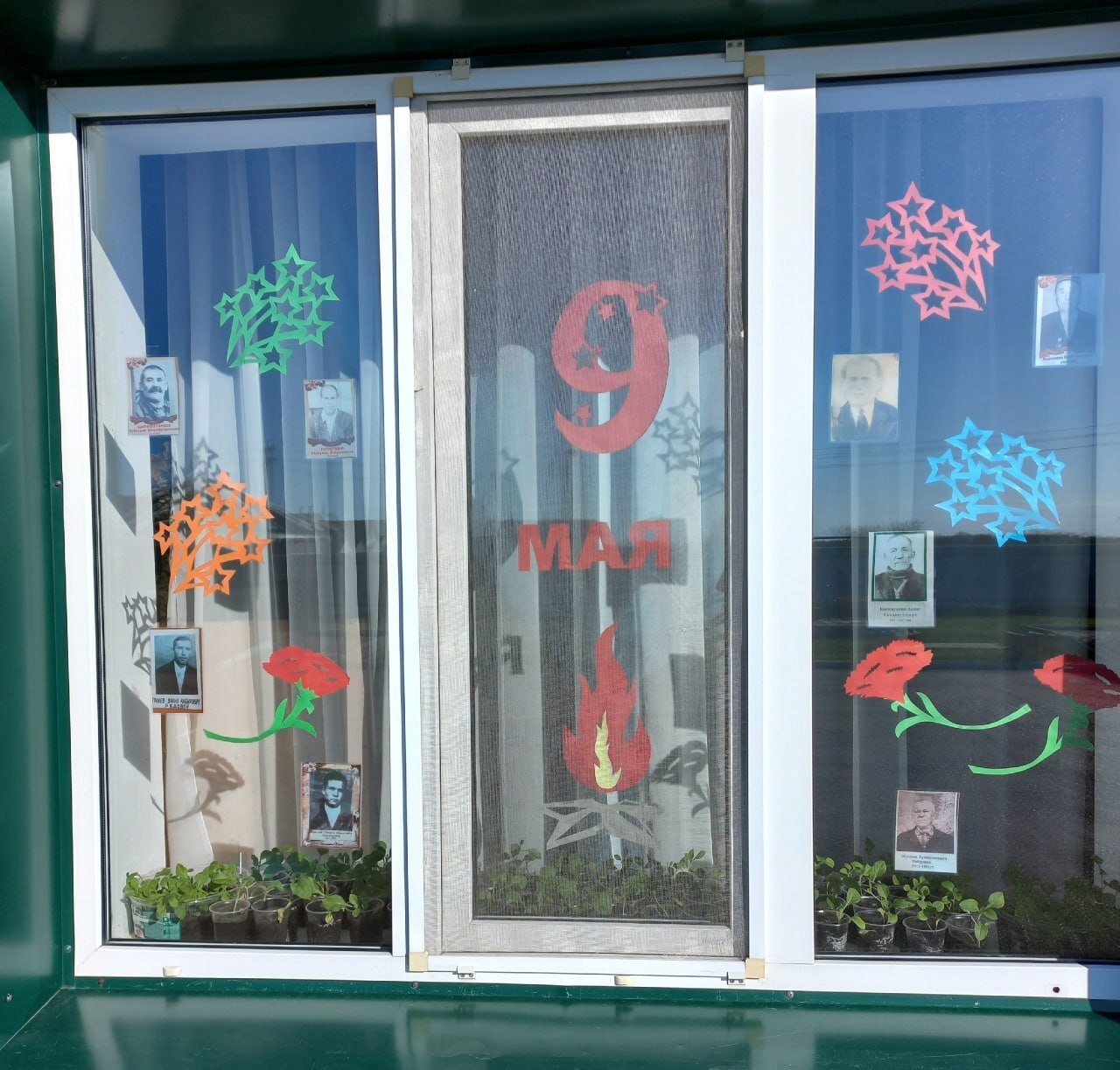 «Окна Победы»