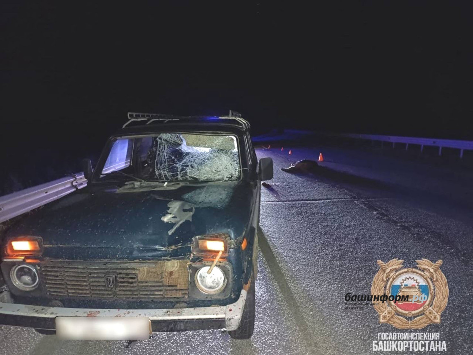 В Башкирии в ДТП из-за наезда погибли два пешехода