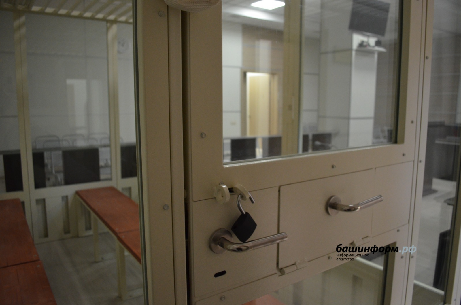 Житель Башкирии предстанет перед судом за избиение супруги и полицейских