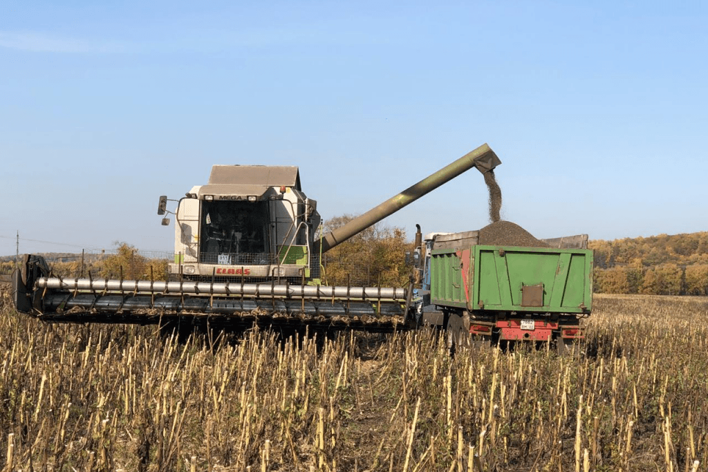 Аграрии Башкирии собрали более 210 тысяч тонн маслосемян подсолнечника