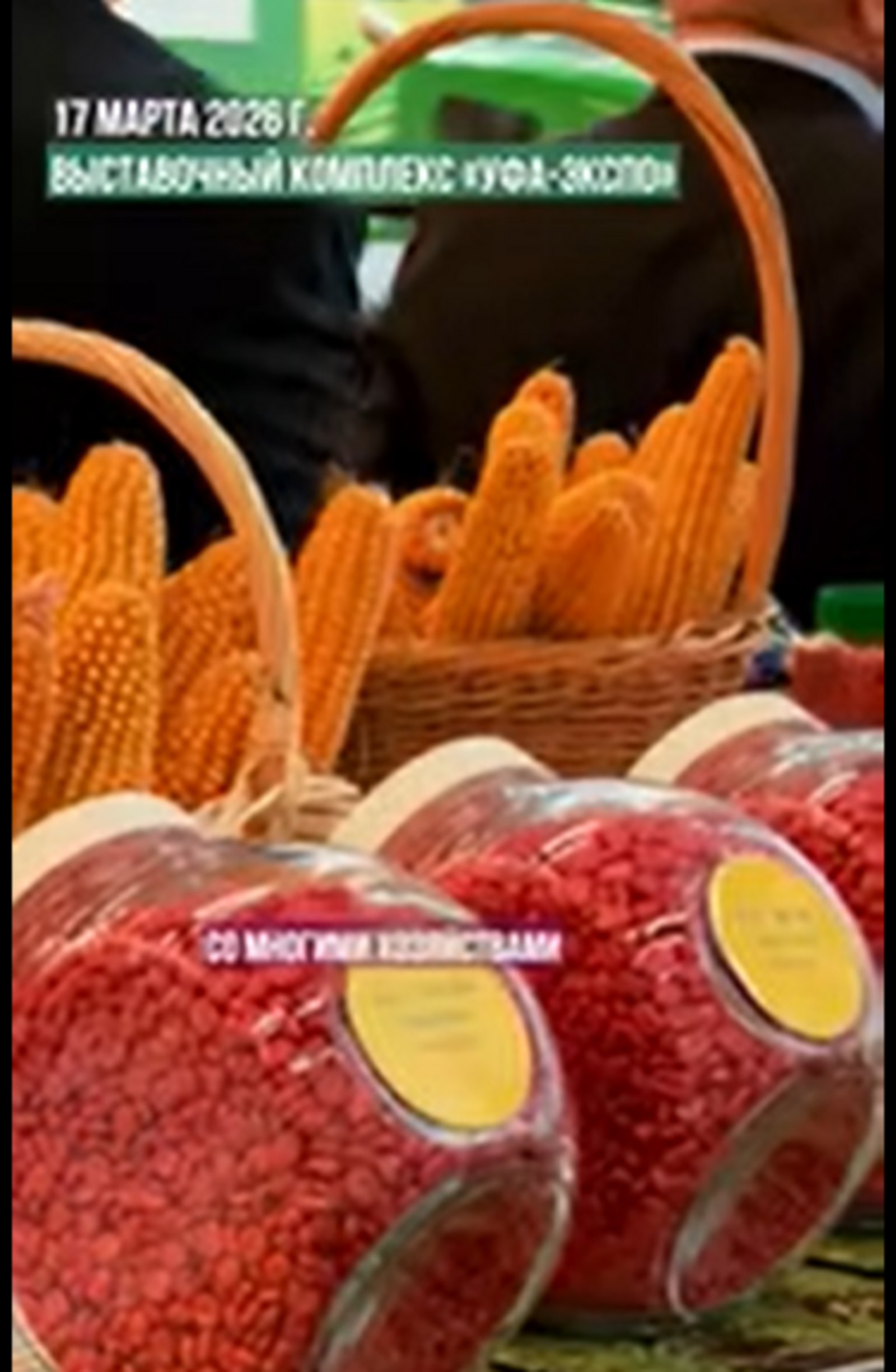 В Башкирии открыли три новых сельхозпроизводства